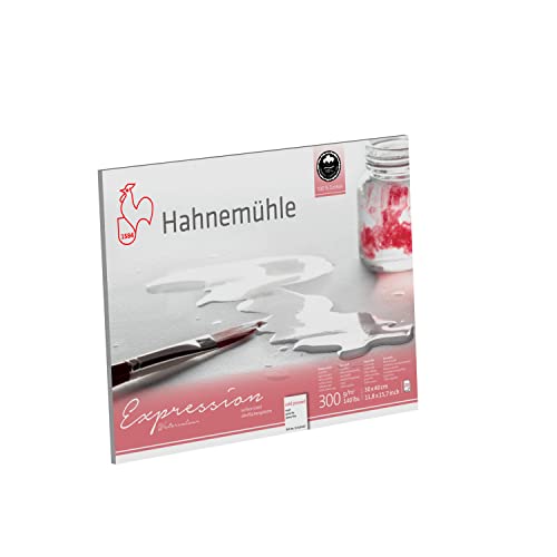Hahnemühle Expression, mattes Aquarellpapier, 300 g/m², 30x40 cm, 100% Baumwolle von Hahnemühle