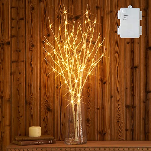 Hairui Beleuchteter Weidenast Weißbirke Dekoration 80CM 100LED batteriebetrieben Vorbeleuchtete Zweigleuchten für Hausdekoration Innenbereich Außenbereich 2 Pack (Vase nicht enthalten) von Hairui