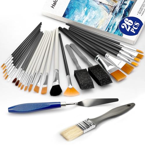 Halobios Farbbürsten, 26 Pcs Malerei Pinsel Set für Acrylfarbe, Öl, Gesicht, Körperfarbe, Kunst Malerei Pinsel für Erwachsene, Anfänger, Künstler, Kinder Kunst Zubehör von Halobios