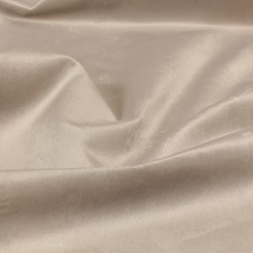 Stoff Meterware Lulin Samt - 1 Meter, Polsterstoff, Möbelbezugsstoff, Bezugsstoff, Möbelstoff, Stuhl, Sofa, Couch, 81 000 Scheuertouren (Beige) von Hans-Textil-Shop