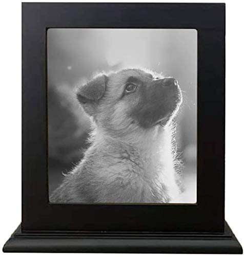 Pet Holz Memorial Urn für Asche, Bilderrahmen Aufbewahrungsschachtel für Hunde Katzen, Funerary Schatullen Supplies Burly Holz Urnen Pet Lovers,Schwarz von Hanwu