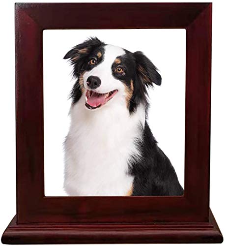 Pet Holz Memorial Urn für Asche, Bilderrahmen Aufbewahrungsschachtel für Hunde Katzen, Funerary Schatullen Supplies Burly Holz Urnen Pet Lovers,Wine red von Hanwu