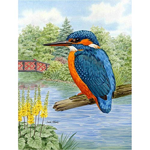 5D DIY Diamond Painting Kits Eisvogel Quadrat Voll Bohren Kristall Strass Diamant Malerei Kinder Erwachsene Kreuzstich Stickerei Anzahl Bilder Für Home Wall Dekoration Handwerk 30x40cm/12x16in C5752 von Haojeer