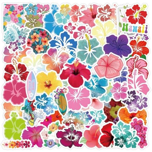 60 Stück Blumenaufkleber Hawaii Hibiskus Aufkleber Graffiti Aufkleber Für DIY Gepäck Laptop Skateboard Motorrad Fahrrad Aufkleber von Haowul