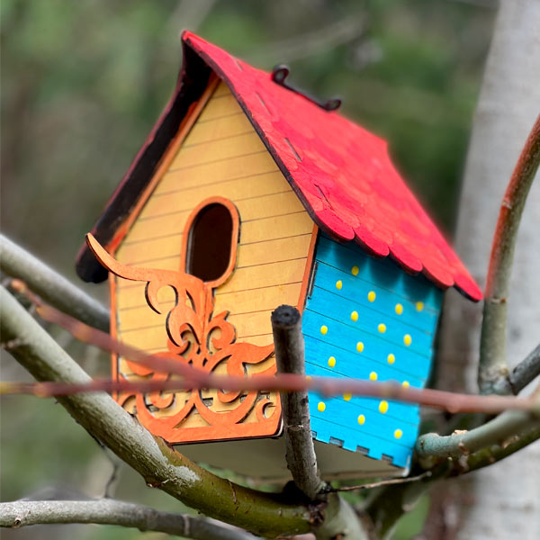 Vogelhaus Basteln Komplettset, Holz 12-tlg. mit gravierter Verzierung von Geburtstagsfee