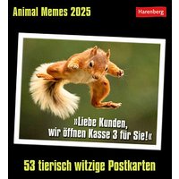 Harenberg Postkartenkalender Animals Memes 2025 von Harenberg