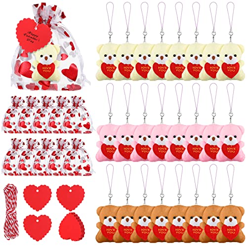 Harrycle 24 Packung Valentinstag Mini Bär Kuscheltier I Love You Plüschbär mit Herz Organzabeutel Kordelzug Schmuckbeutel und Rot Herz Geschenkanhänger für Valentinstag Hochzeit Geschenk Deko von Harrycle