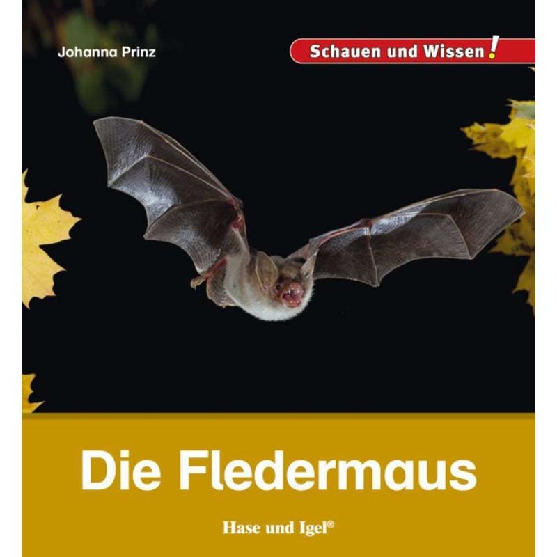 Schauen Und Wissen! / Die Fledermaus - Johanna Prinz, Gebunden von Hase und Igel