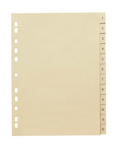 10 Stück Zahlen - Register 1-12 / Vollformat DIN A4 / Papier 110 g/m² / 12-teilig von Hausmarke