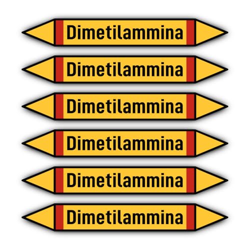 Aufkleber: 200x30 mm, 6 Stück - Gruppo 4 - Gas Infiammabili - Rohrleitungskennzeichnung - nach DIN 2403 - Sprache: italienisch - Dimetilammina von Havati