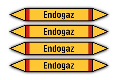 Aufkleber: 300x45 mm, 4 Stück - Groupe 4 - Gaz Inflammables - Rohrleitungskennzeichnung - nach DIN 2403 - Sprache: französisch - Endogaz von Havati