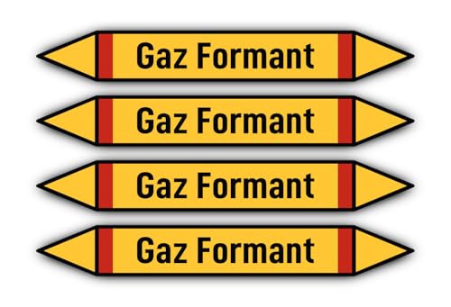 Aufkleber: 300x45 mm, 4 Stück - Groupe 4 - Gaz Inflammables - Rohrleitungskennzeichnung - nach DIN 2403 - Sprache: französisch - Gaz Formant von Havati