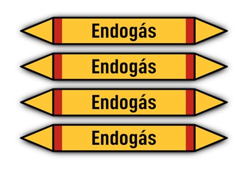 Aufkleber: 300x45 mm, 4 Stück - Grupo 4 - Gases Inflamables - Rohrleitungskennzeichnung - nach DIN 2403 - Sprache: spanisch - Endogás von Havati