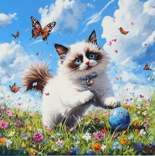 Hdfvlfdsa Reuzstich Stickpackung 11Ct Sticken Set Erwachsene Kreuzstichragdoll-Katze Jagt Einen Ball 40X40Cm Diy Stickbilder Vorgedruckt Kreuzstich Für Anfänger Home Decor Hdfvlfdsa Reuzstich Stickpackung 11Ct Sticken Set Erwachsene Kreuzstichragdoll-Katze Jagt Einen Ball 40X40Cm Diy Stickbilder Vorgedruckt Kreuzstich Für Anfänger Home Decor von Hdfvlfdsa