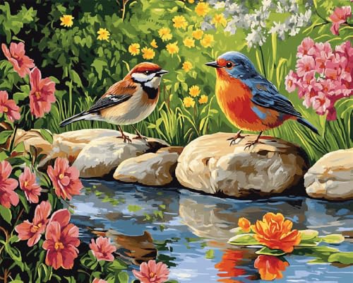 Hdfvlfdsa Stickpackung 11Ct Sticken Set Erwachsene Kreuzstich Zwei Vögel Auf Dem Teich 40X50Cm Diy Stickbilder Vorgedruckt Kreuzstich Für Anfänger Home Decor Hdfvlfdsa Stickpackung 11Ct Sticken Set Erwachsene Kreuzstich Zwei Vögel Auf Dem Teich 40X50Cm Diy Stickbilder Vorgedruckt Kreuzstich Für Anfänger Home Decor von Hdfvlfdsa