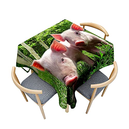 Hearda Tischdecke Abwaschbar Rechteckig, 3D-Haustier-Schwein-Druck Polyester Tischdecken Wasserdicht Pflegeleicht Tischtuch mit Tischdeckenklammern für Küche Party Bar (120x120cm,Schweinchen) von Hearda