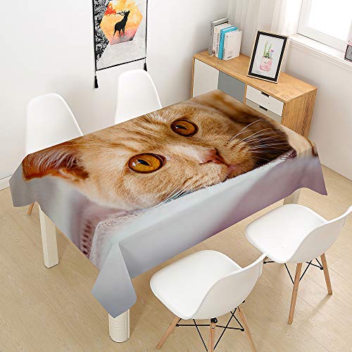 Hearda Tischdecke Abwaschbar Rechteckig, 3D-Haustierkatzendruck Polyester Tischdecken Wasserdicht Pflegeleicht Tischtuch für Küche Party Outdoor Garten -Nicht-Wachstuch (Orangene Katze,100x140cm) von Hearda