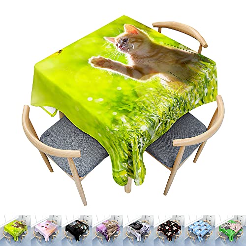 Hearda Tischdecke Abwaschbar Rechteckig, 3D-Katzen- und Hundedruck Polyester Tischdecken Wasserdicht Pflegeleicht Tischtuch für Küche Party Bar Restaurant (Ausflug Katze,100x140cm) von Hearda