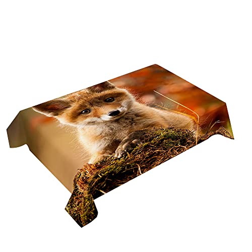 Hearda Tischdecke Abwaschbar Rechteckig, 3D-Tier-Fuchs-Druck Polyester Tischdecken Wasserdicht Pflegeleicht Tischtuch für Küche Party Bar Restaurant (Kleiner Fuchs,150x210cm) von Hearda