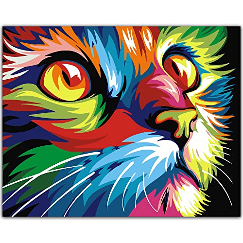 Heimstory ®, Malen nach Zahlen Erwachsene mit Rahmen, Katze, Tiere, bunte Acrylfarben, mit Leinwand, Pinsel von Heimstory