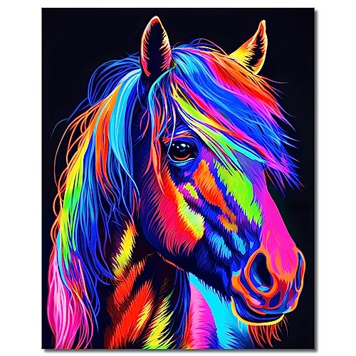 Heimstory Malen nach Zahlen mit Rahmen Pferde Tiere Erwachsene Kinder Jugendliche Leinwand Pinsel Acrylfarben Keilrahmen (Charly) von Heimstory