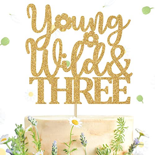 Gold Glitter Young Wild and Three Cake Topper, Forest Woodland Lagerfeuer Themenparty Kuchen Dekor, Camper 3. Geburtstag Party Dekorationen Zubehör von Hequoyer