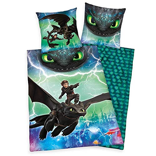 Herding DREAMWORKS DRAGONS Bettwäsche-Set, Wendemotiv, Bettbezug 135 x 200 cm, Kopfkissenbezug 80 x 80 cm, Baumwolle/Renforcé von Herding