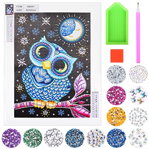 Herefun Diamond Painting Kinder Teenager Mädchen, 5D Diamant Painting Set Eulen Geschenk, 5D DIY Diamantmaler-Set, Full Bilder Diamond Painting Kits Malen Nach Zahlen Diamant für Home Decor von Herefun