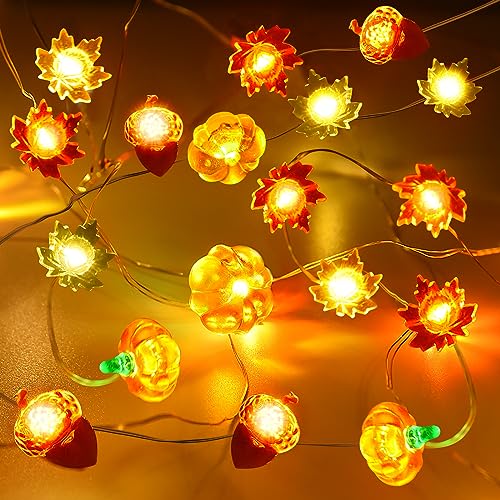 Herefun Lichterkette Herbst, 3M 30LED Ahornblätter Lichterketten, Kürbis-Ahornblatt-Eichel Lichterkette Batteriebetrieben mit Timer, Halloween, herbst Dekoration für Innen Außen von Herefun