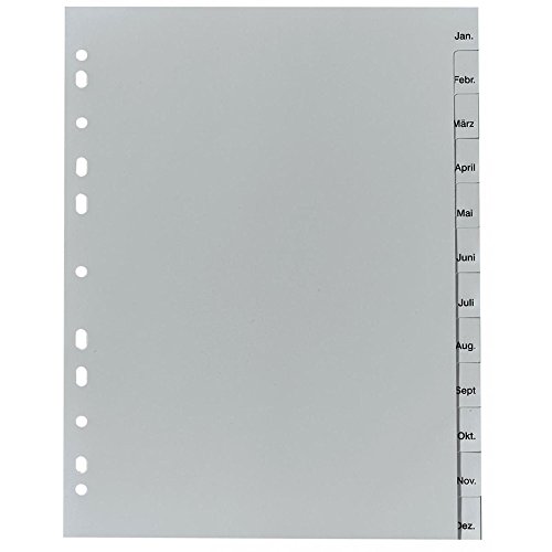 10x Herlitz 10842714 Register Januar-Dezember, 23 x 29,7 cm, PP, Eurolochung von Herlitz