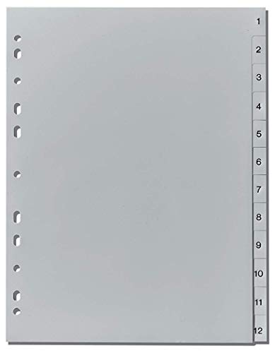 Herlitz 10843407 Register 1-12, 23 x 29,7 cm, PP, Eurolochung (20x 1-12) von Herlitz