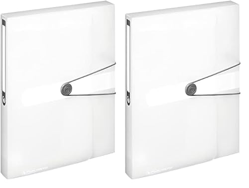 Herlitz 11206174 Sammelbox, A4, PP-Folie, transparent (Packung mit 2) von Herlitz