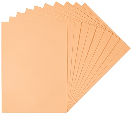 Herlitz 227280 Tonzeichenkarton 50 x 70 cm, 10 Stück, aprikose von Herlitz