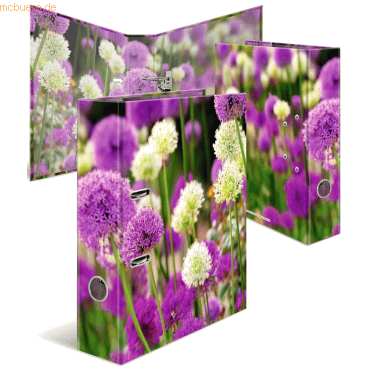 10 x HERMA Motiv-Ordner A4 7cm Purple Sensation von Herma