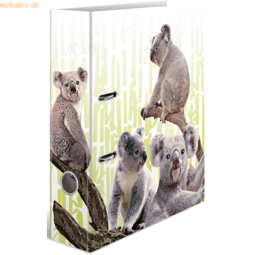 10 x HERMA Motivordner A4 70mm Exotische Tiere Koalafamilie von Herma