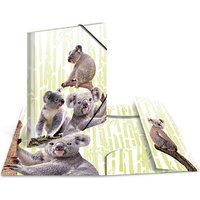 3 HERMA Sammelmappen DIN A4 Koalas von Herma