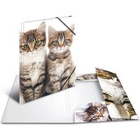 3 HERMA Sammelmappen DIN A4 Katzen von Herma