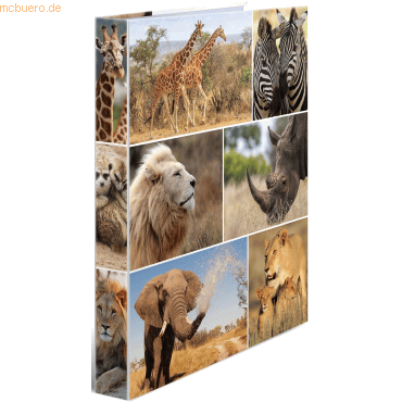 3 x HERMA Ringbuch A4 Karton 2 Ringe Afrika Tiere von Herma