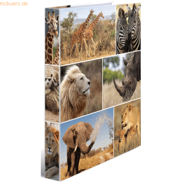 3 x HERMA Ringbuch A4 Karton 4 Ringe Afrika Tiere von Herma