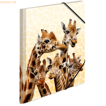 3 x HERMA Sammelmappe A4 PP Giraffenfreunde von Herma