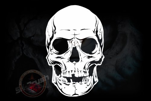 Herterich Products | Kleine Airbrush Schablone | Skull Totenkopf Stencil Vorlage | Tattoo und Graffiti Schablone | Hochwertige Mylarfolie | Lösemittelbeständig von Herterich Products