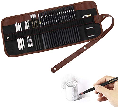 Heshengping Skizze Bleistift Set, 30 Stück Bleistift Zeichnen Set, Künstler Art Kit mit Kohlestifte, Ideales Set für Leinwand-Bleistiftbeutel und Zubehör, für ErwachseneKinder Anfänger und Künstler von Heshengping