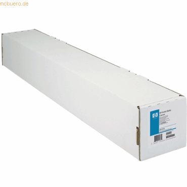 Hewlett Packard HP professionelles mattes Canvas von Hewlett Packard