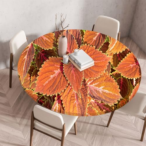 Highdi 3D Elastische Tischdecke Rund Abwaschbar, Spanntischdecke Rund Gartentischdecke Outdoor Round Tischdecke mit Gummizug für Esszimmer, Küche und Picknick (80cm,Roter Ziegelstein 9) von Highdi