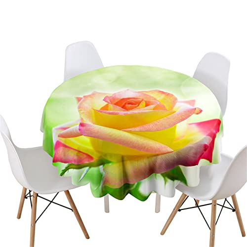 Highdi Rund Tischdecke Abwaschbar, 3D Rosen Druck Wasserdicht Lotuseffekt Antifouling Rund Tischdecken Polyester Tischtuch für Home Küche Dekoration Garten (Durchmesser 200cm,Sonnenlicht Rose) von Highdi