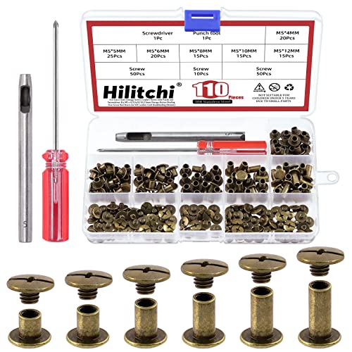 Hilitchi 110 Sets Bronze Chicago Schrauben Knöpfe Flachkopfschrauben Ledernieten Karbonstahl runde Bindeschrauben Nieten Nagelniete Ledernieten Nieten mit Installationswerkzeug (M5 x 4,5,6,8,10,12) von Hilitchi