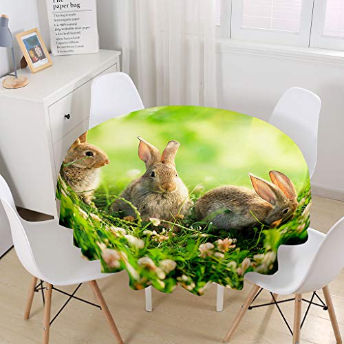 Himlaya Tischdecke Rund Abwaschbar, 3D Tier Drucken Tischdecken Runden Wasserdicht Lotuseffekt Abwischbar Tischtuch für Küche Heimdekoration Garten (Grünes Kaninchen,120cm) von Himlaya