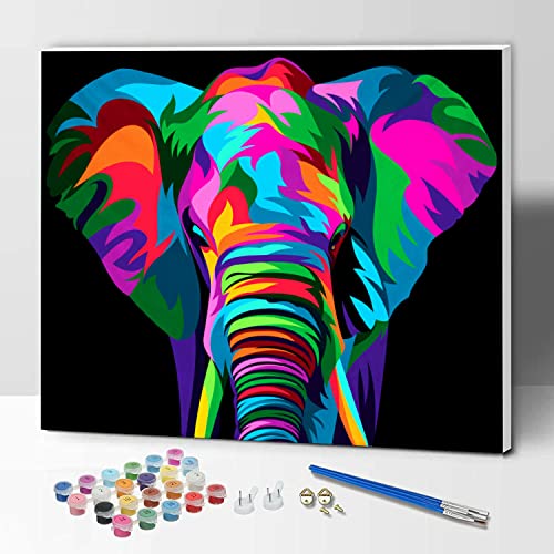 Hiolife Malen nach Zahlen für Kinder & Erwachsene & Anfänger, DIY Acryl Malerei Geschenk-Set, 40,6 x 30,5 cm Elefant – mit Rahmen von Hiolife