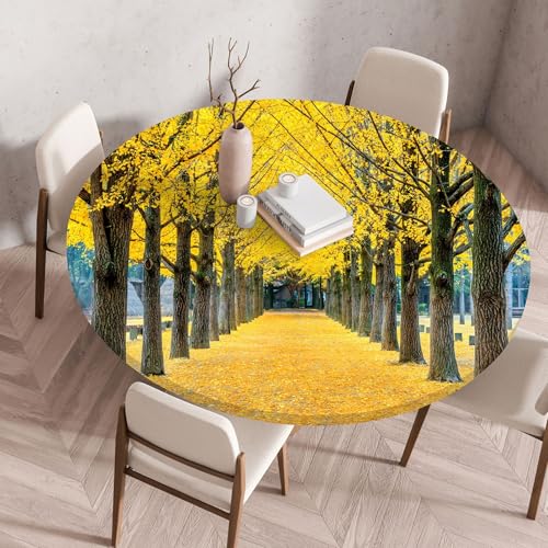 Hixingo Rund Landschaftsdruck Tischdecke mit Elastik, Wasserdicht Gartentischdecke Antifouling Tischdecken Polyester Tischtuch Tisch Schutz für Küche Garten (80CM,Ginkgo) von Hixingo