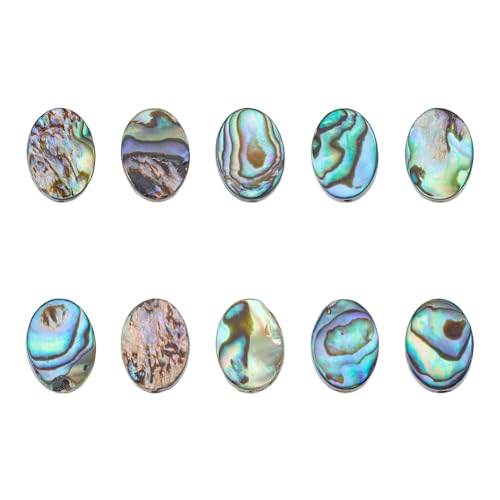 Hobbspring 10 Stück Natürliche Abalone Muschelperlen Flache Muschelperlen Paua Muschelperlen Ovale Abalone Muschelperlen Lose Abstandsperlen Für Die Herstellung von Ohrringen Halsketten Armbändern von Hobbspring